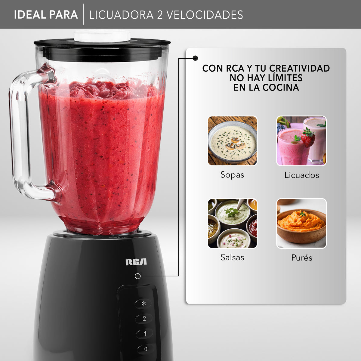 Licuadora con 2 Velocidades RC-L2
