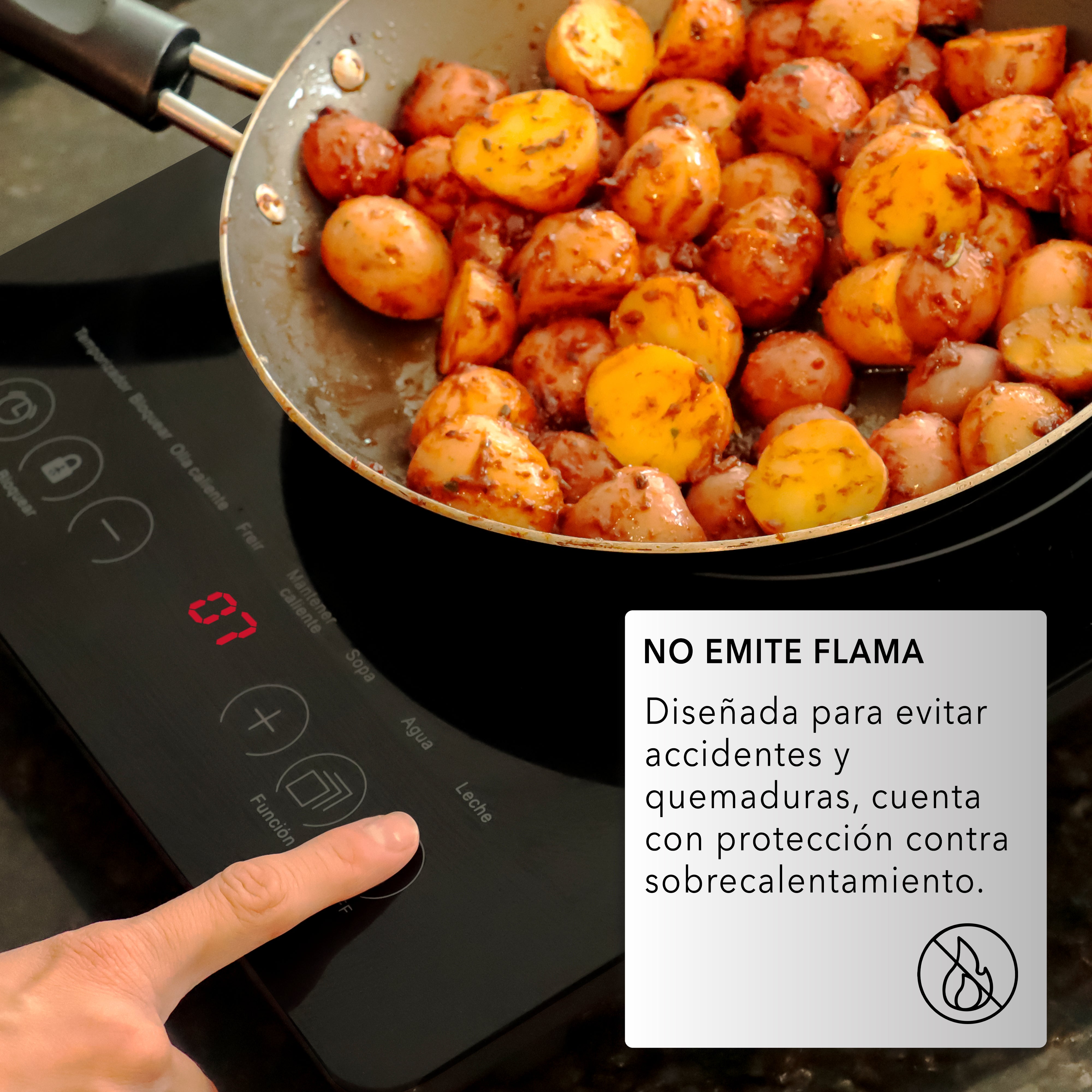 Parrilla de Inducción RC-12A3
