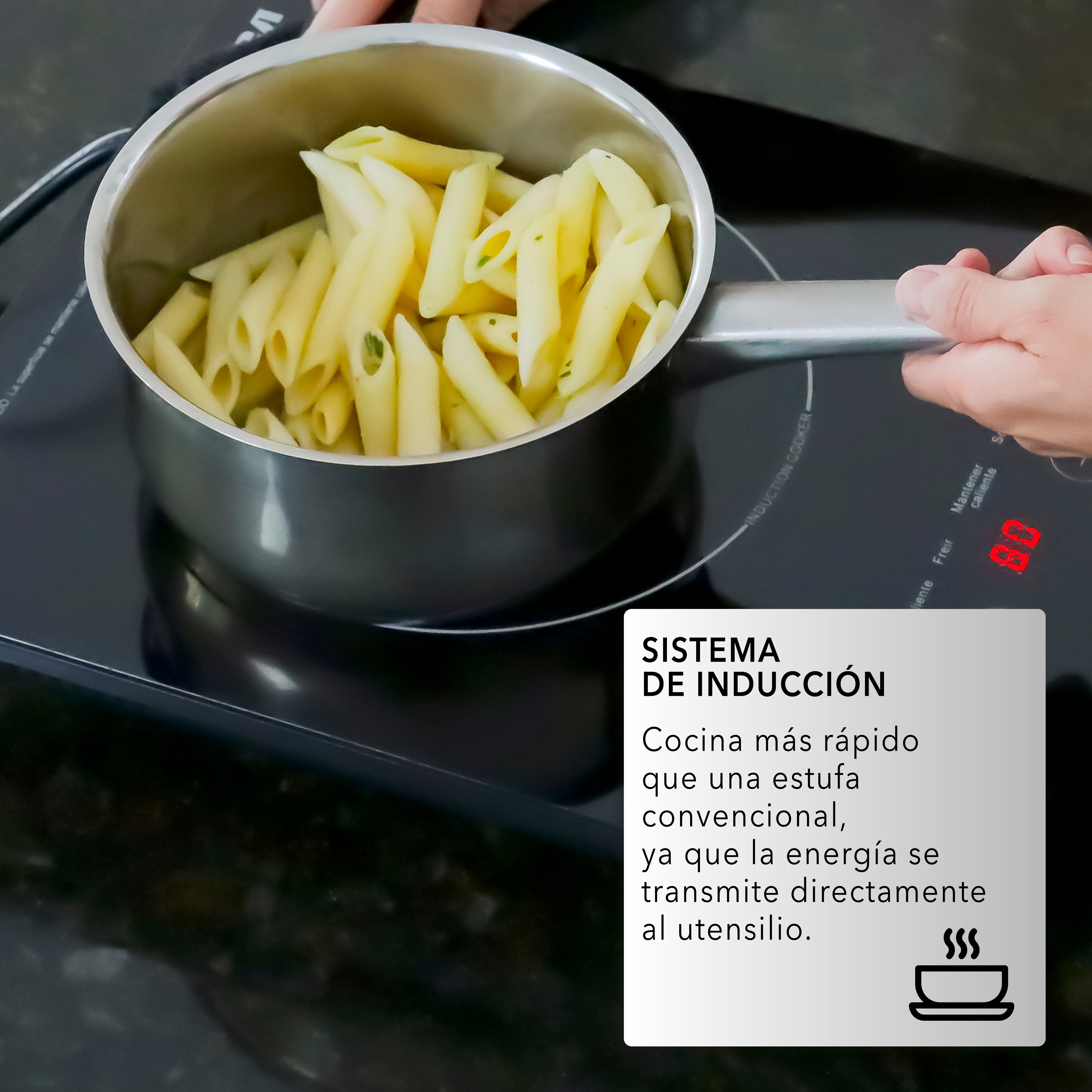 Parrilla de Inducción RC-12A3