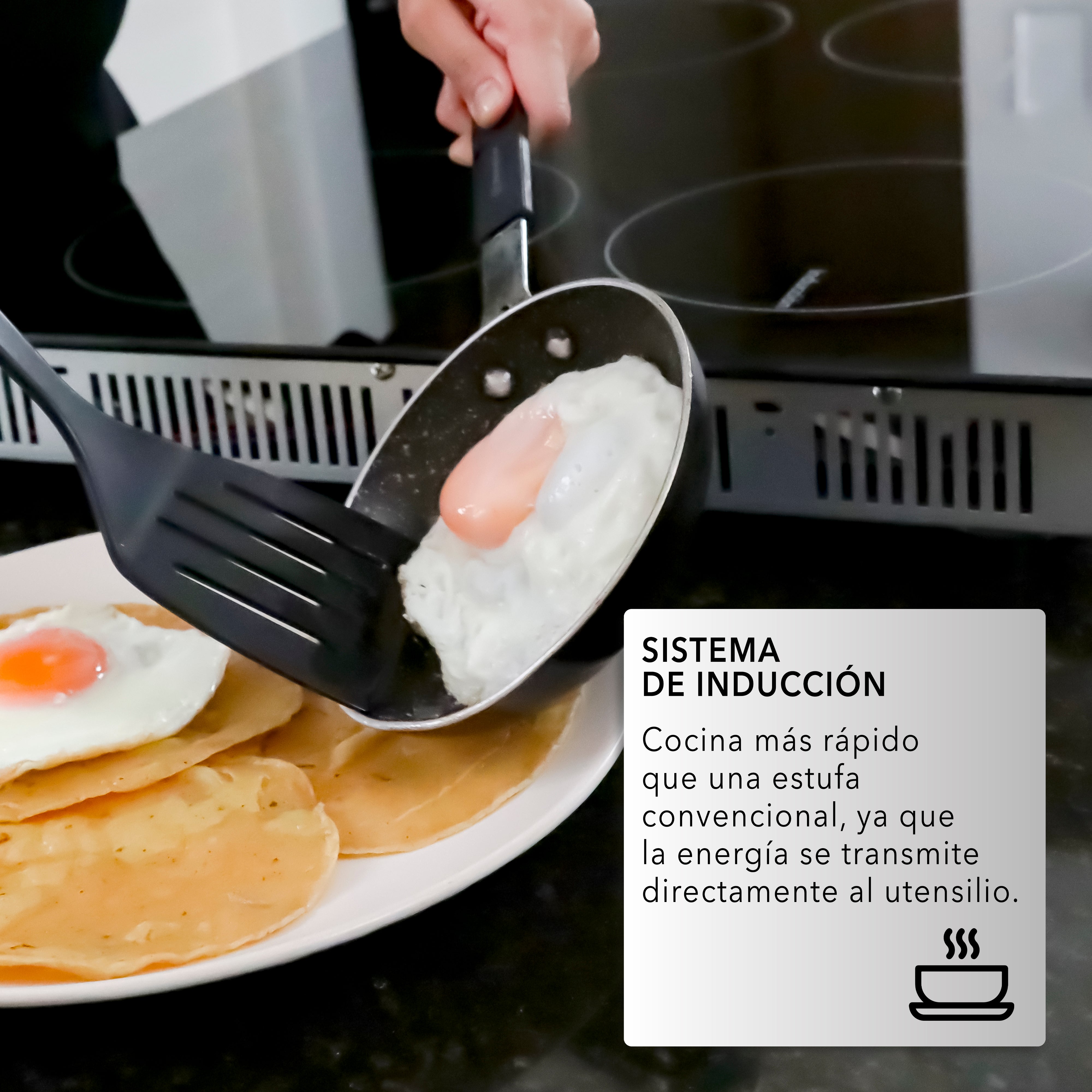 Parrilla de Inducción Empotrable RC-12A5