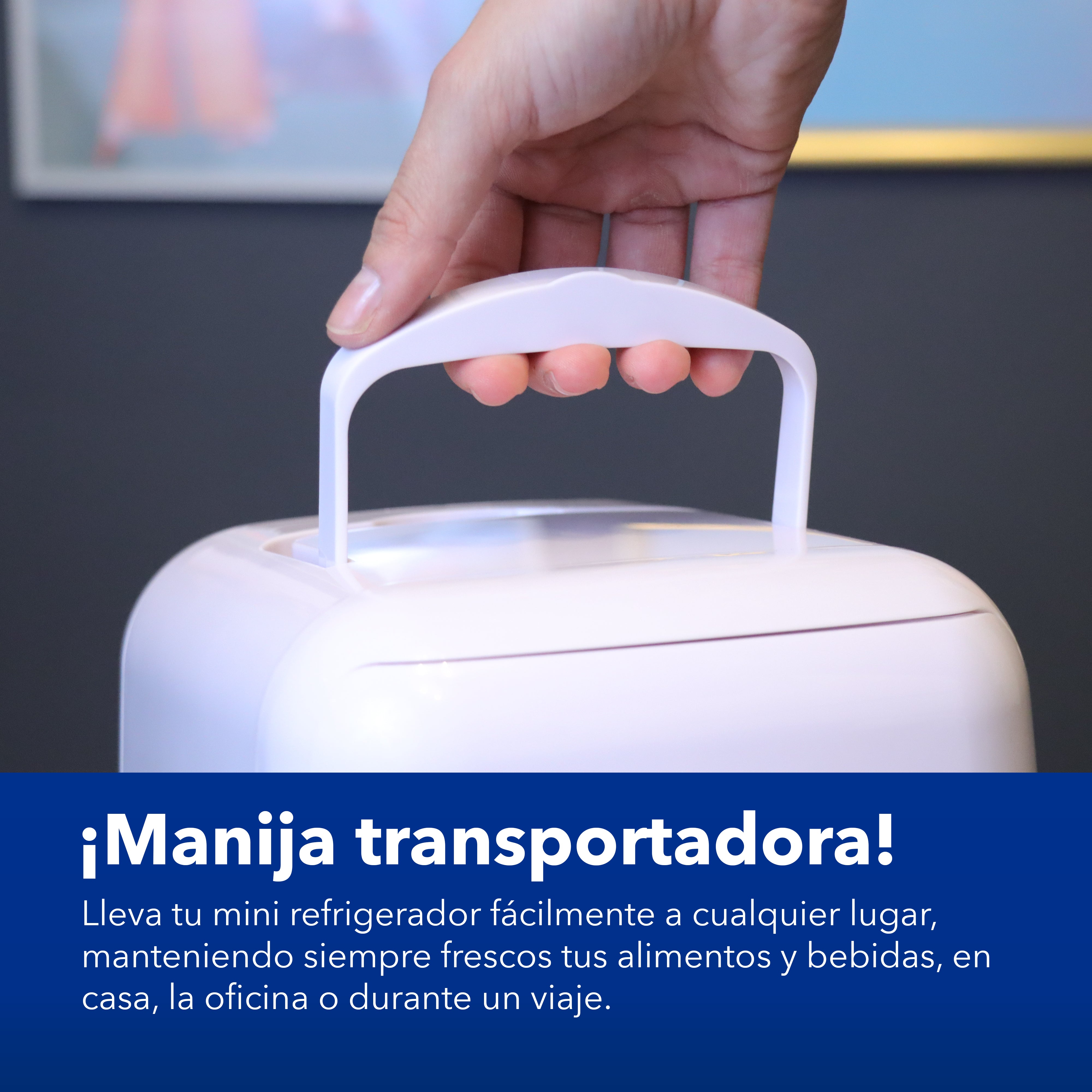 Mini Refrigerador