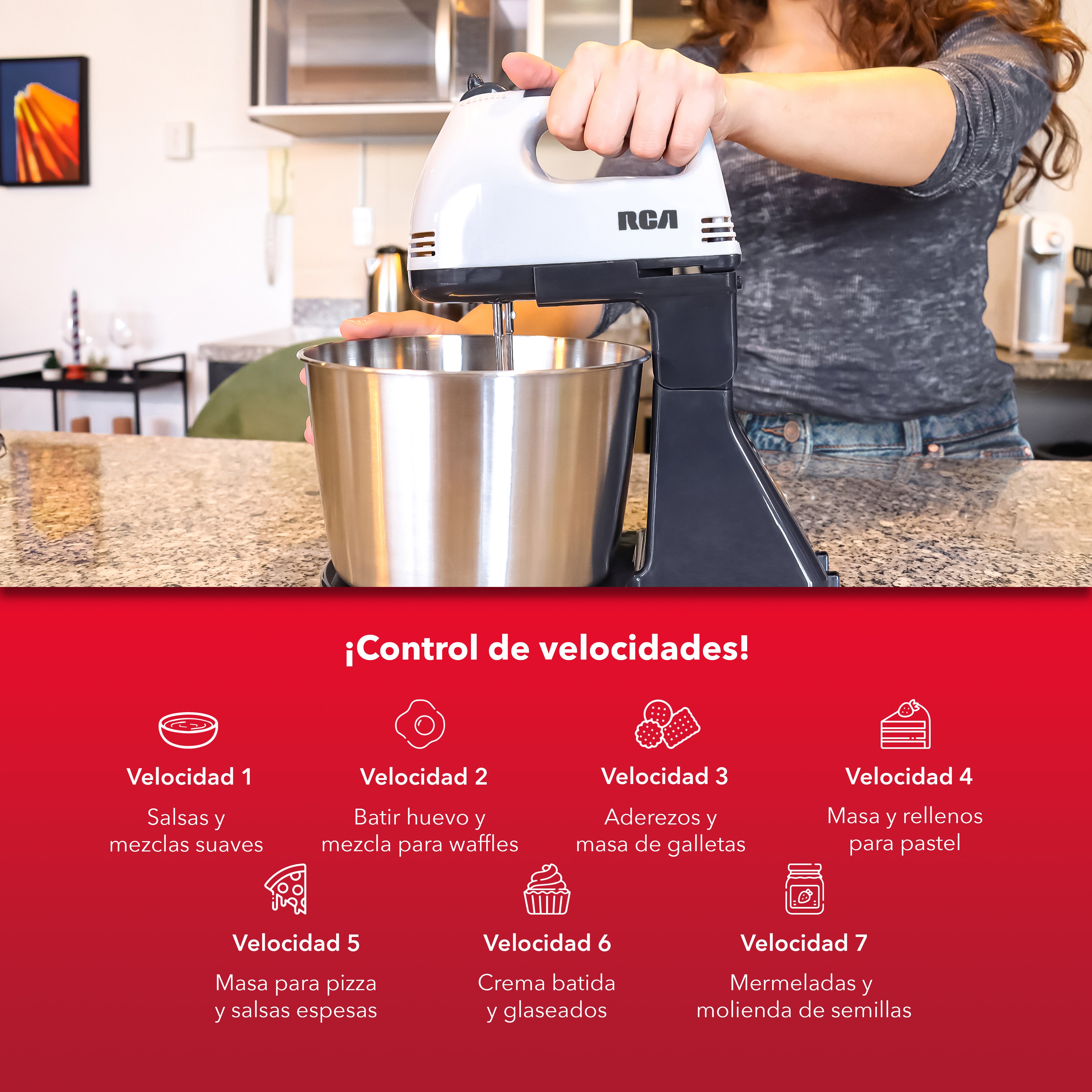 Batidora de Mano con Pedestal RC-67SS