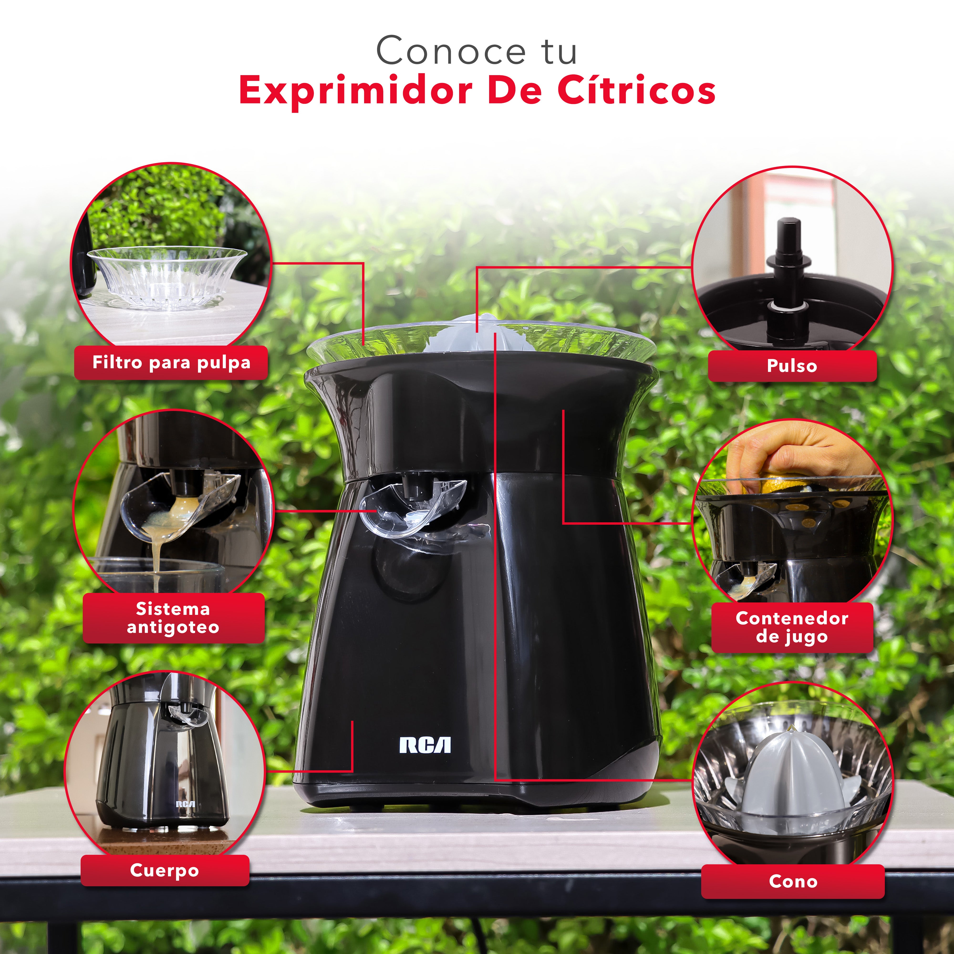 RCA Exprimidor de Cítricos Eléctrico RC-8004N negro