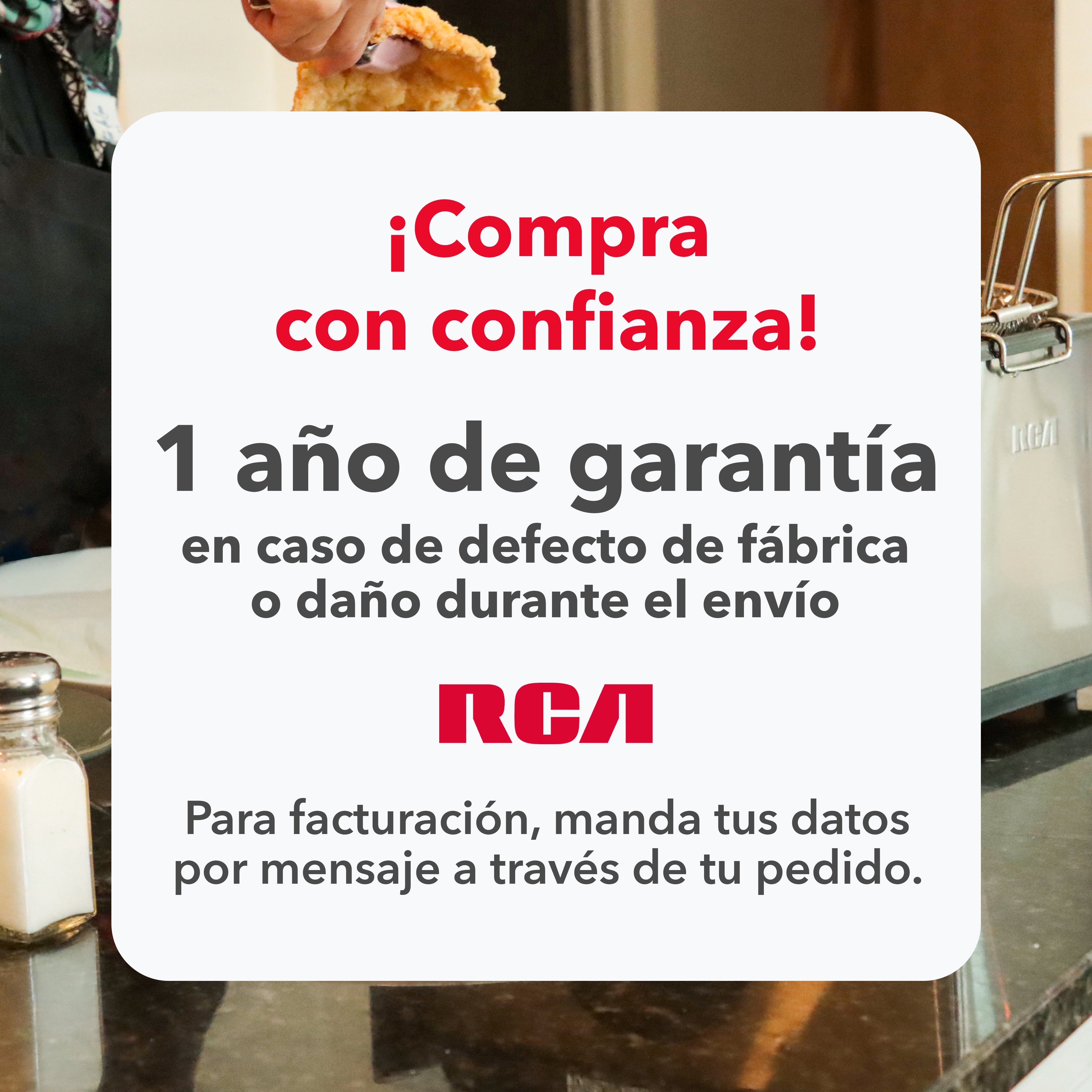 Freidora de Acero Inoxidable RC-DF303