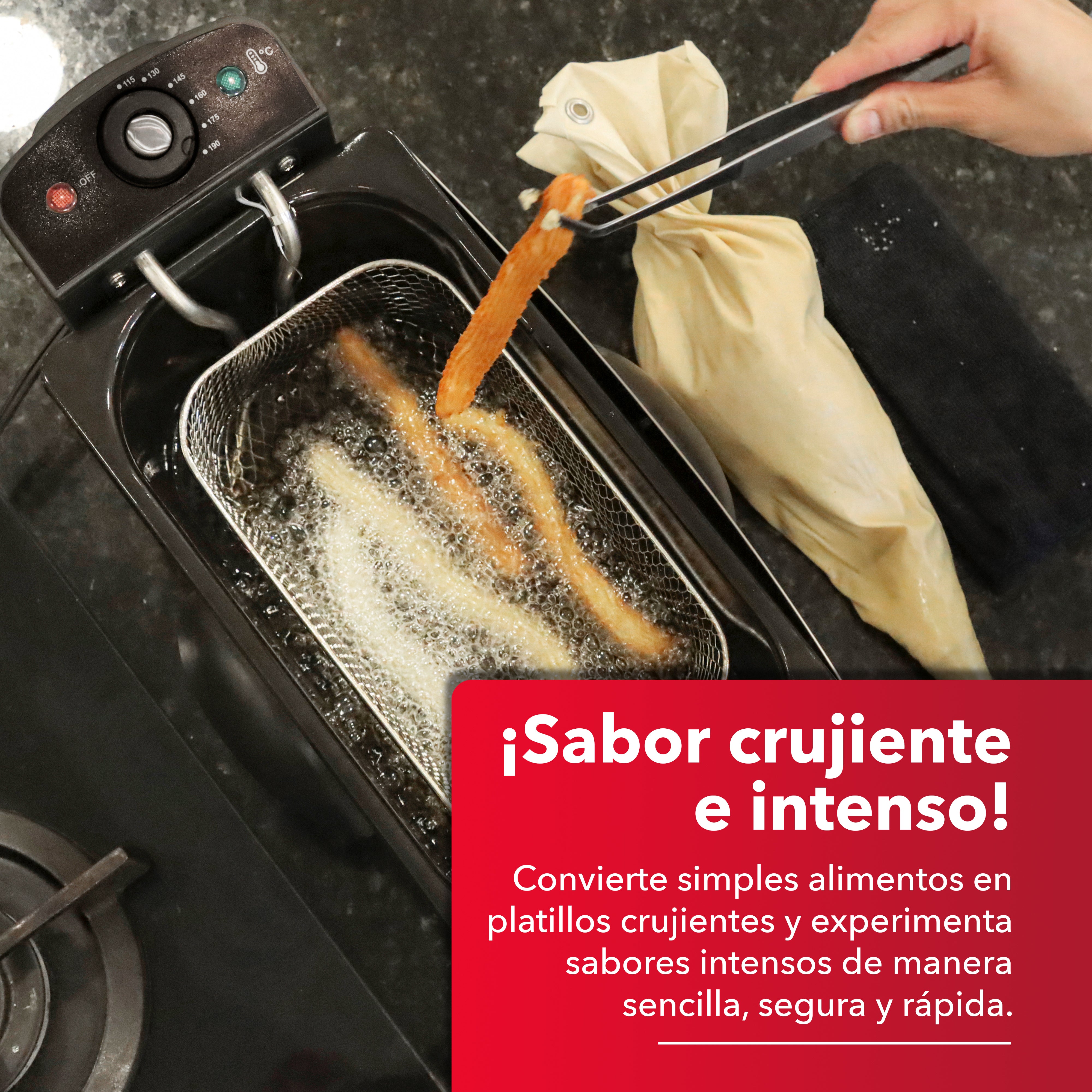 Freidora de Acero Inoxidable RC-DF303