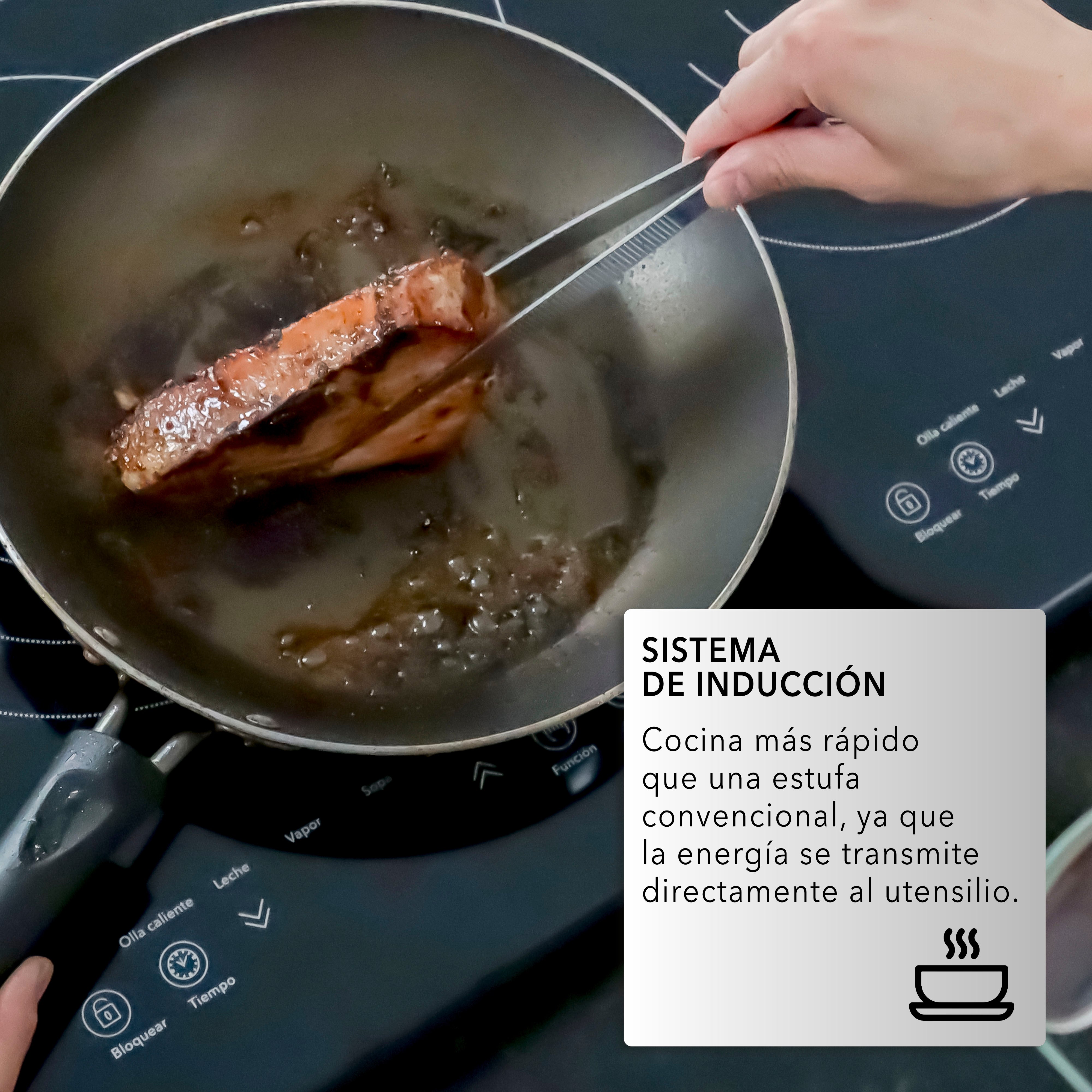 Parrilla De Inducción Empotrable 2 Quemadores Rc-12e2 Color Negro