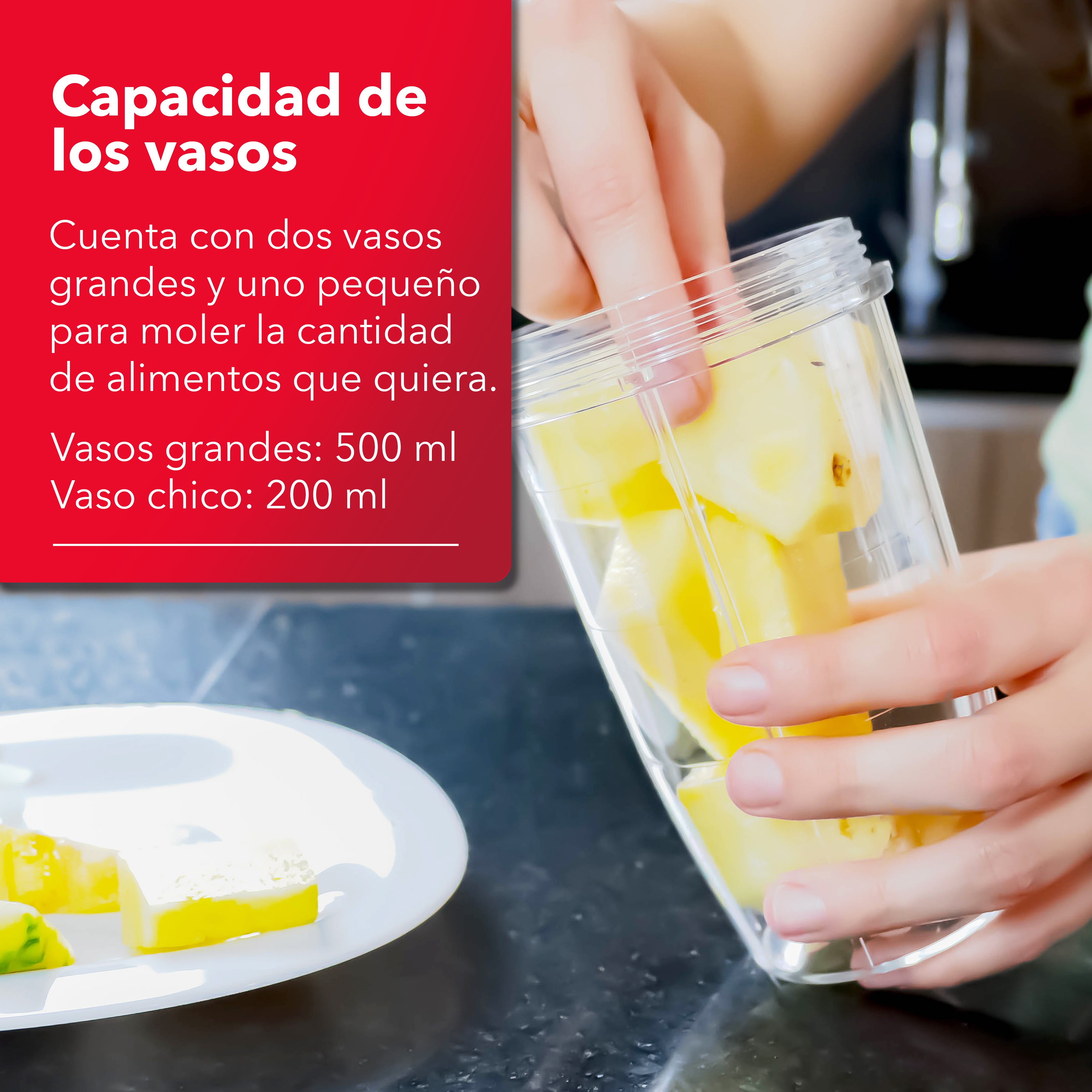Procesador de Alimentos con Accesorios Intercambiables RC-3199