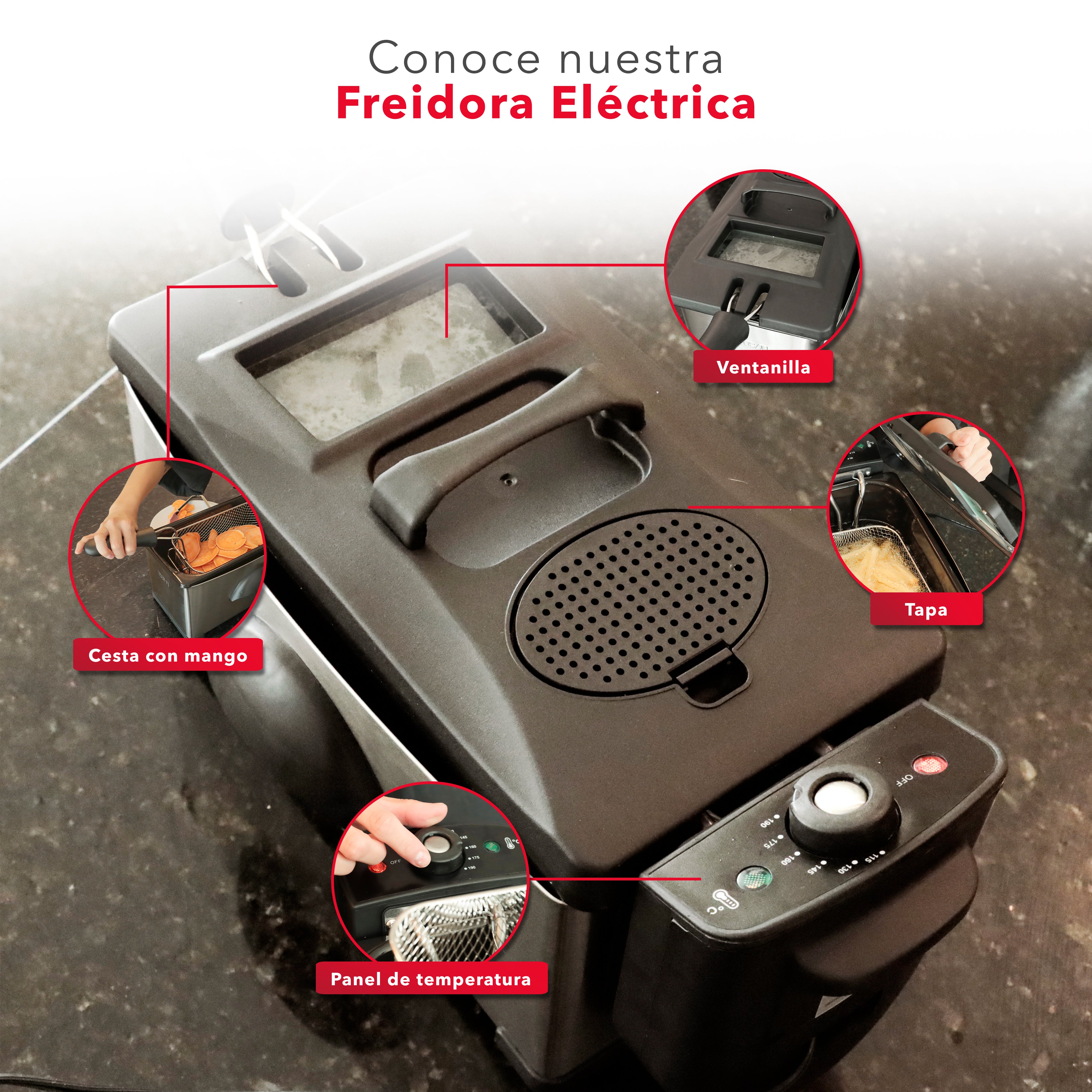 Freidora de Acero Inoxidable RC-DF303